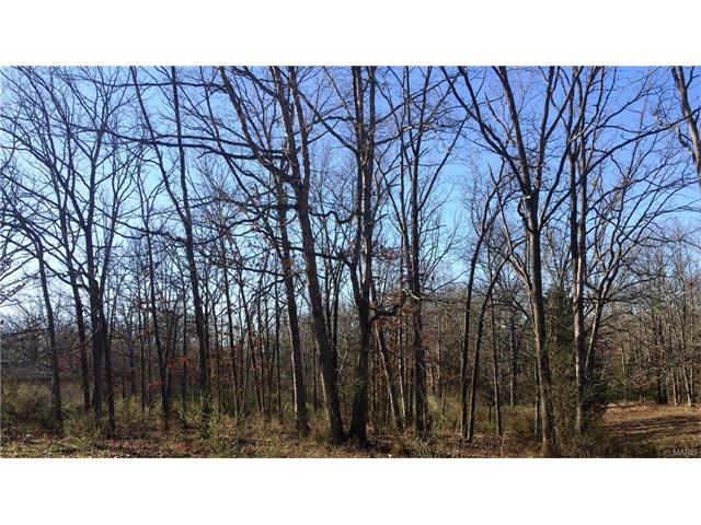 8 Trevor Ln, St James, MO 65559