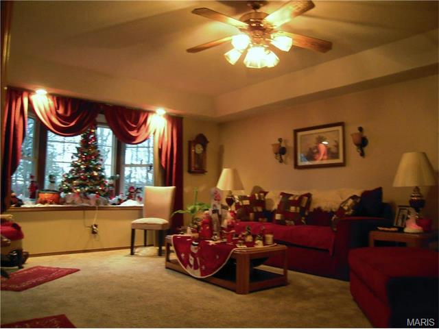 121 Robin Hill Drive, Steelville, MO 65565