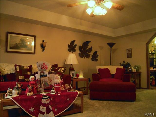 121 Robin Hill Drive, Steelville, MO 65565
