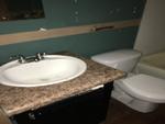 15 ST JOE TRAILOR CT ,MO, Viburnum, 65566