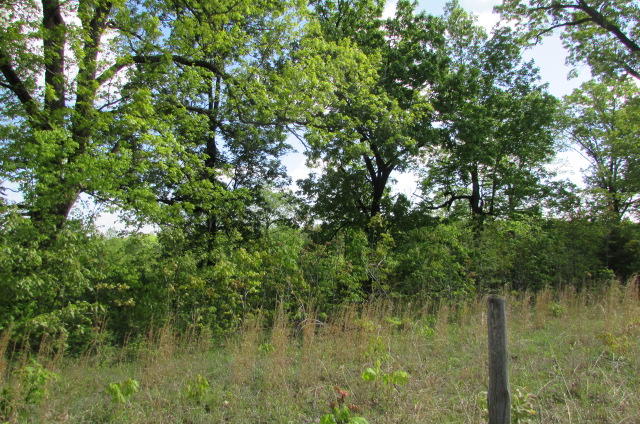 00 Tbd State Highway Aa, Alton, MO 65606