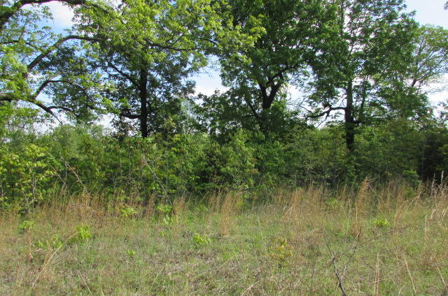 00 Tbd State Highway Aa, Alton, MO 65606