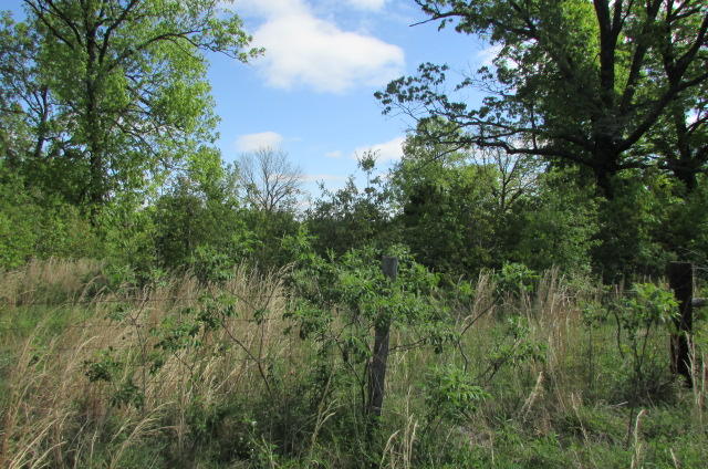 00 Tbd State Highway Aa, Alton, MO 65606
