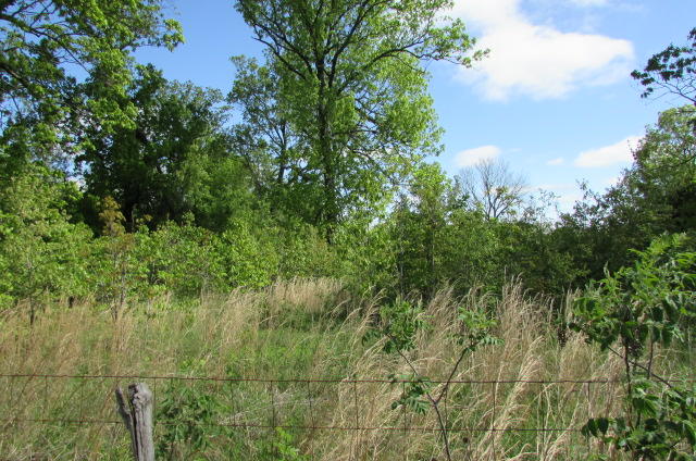 00 Tbd State Highway Aa, Alton, MO 65606