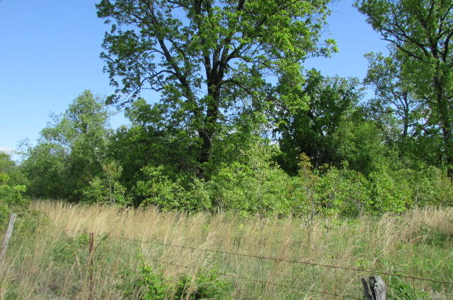 00 Tbd State Highway Aa, Alton, MO 65606