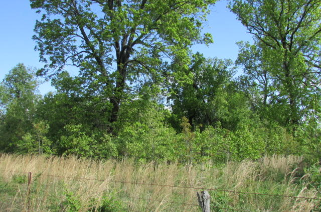 00 Tbd State Highway Aa, Alton, MO 65606