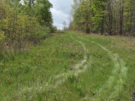 104 County Road, Alton, MO 65606