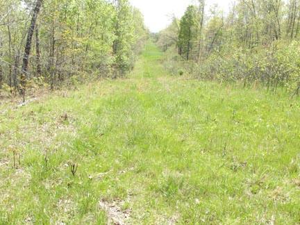 104 County Road, Alton, MO 65606