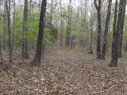 104 County Road, Alton, MO 65606