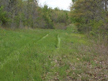 104 County Road, Alton, MO 65606