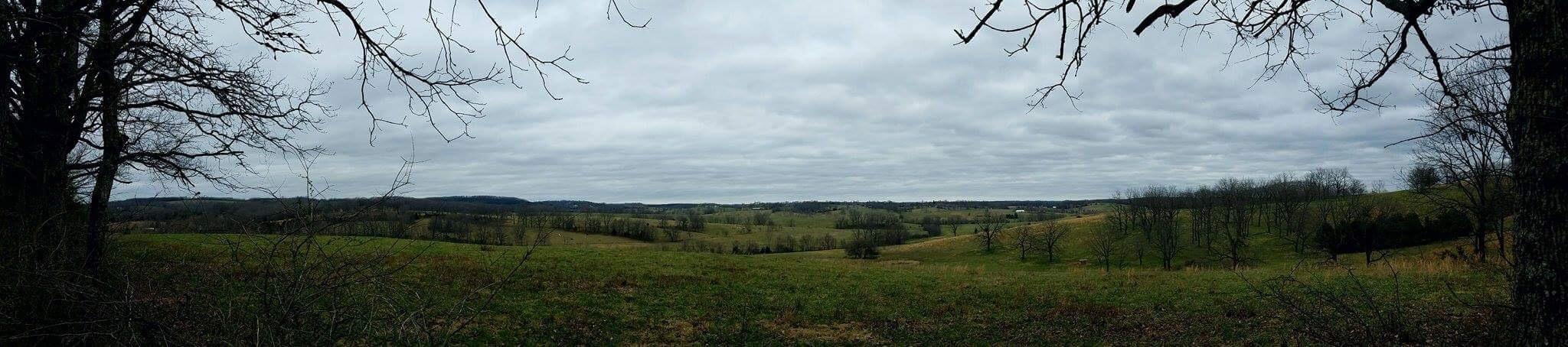 300 County Road, Ava, MO 65608