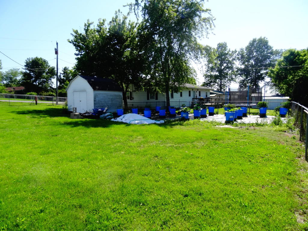 1600 State Hwy Ff, Ava, MO 65608