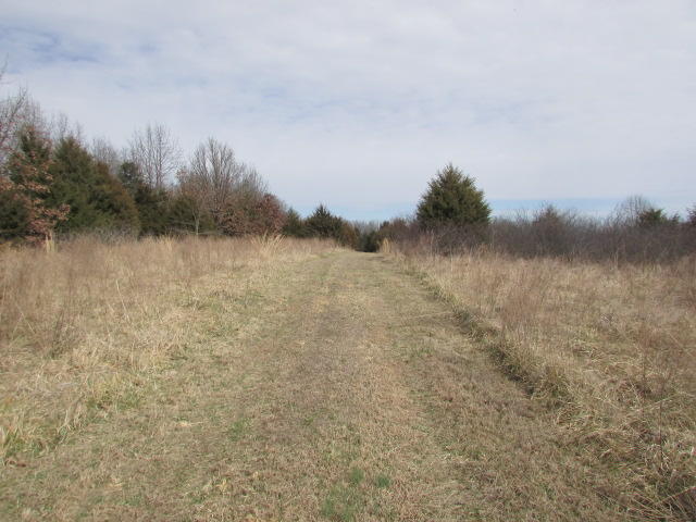 255 State Highway Ee, Bakersfield, MO 65609