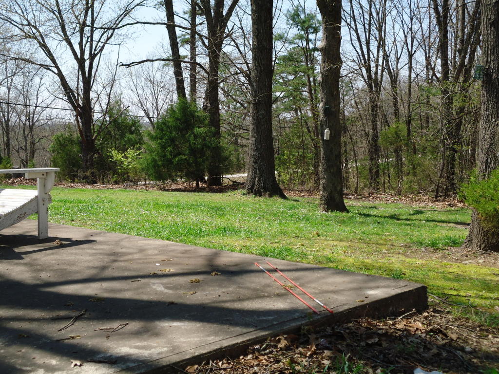 41 Glen Oaks Drive, Blue Eye, MO 65611