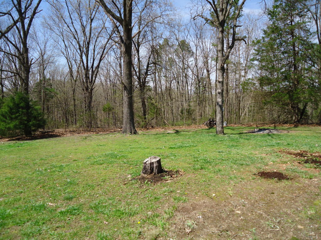 41 Glen Oaks Drive, Blue Eye, MO 65611