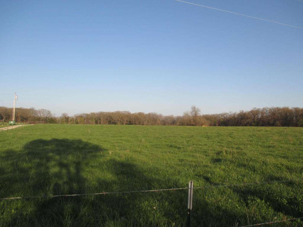 4030 South 110th Road, Bolivar, MO 65613