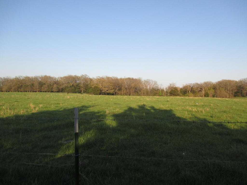 4030 South 110th Road, Bolivar, MO 65613