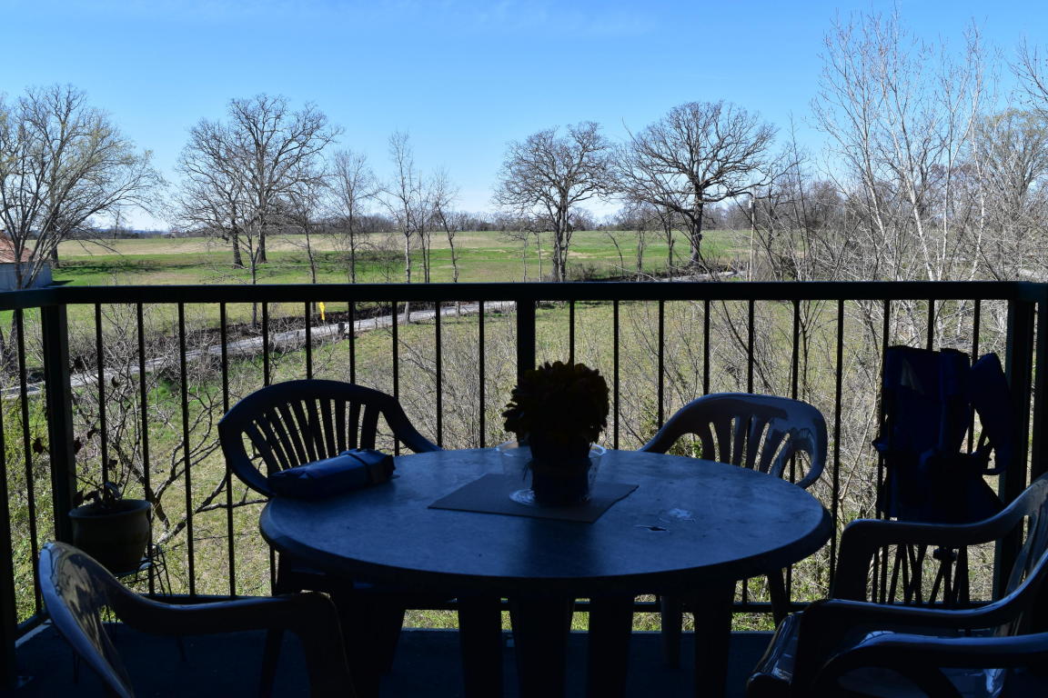 175 West Rockford Drive, Branson, MO 65616
