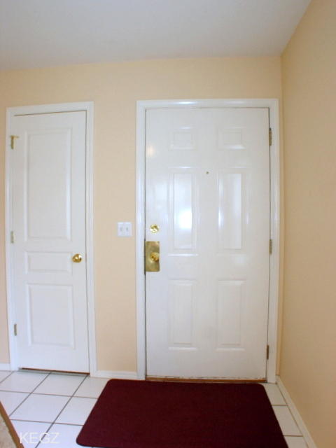 351 South Wildwood Drive, Branson, MO 65616