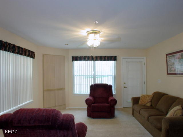 351 South Wildwood Drive, Branson, MO 65616