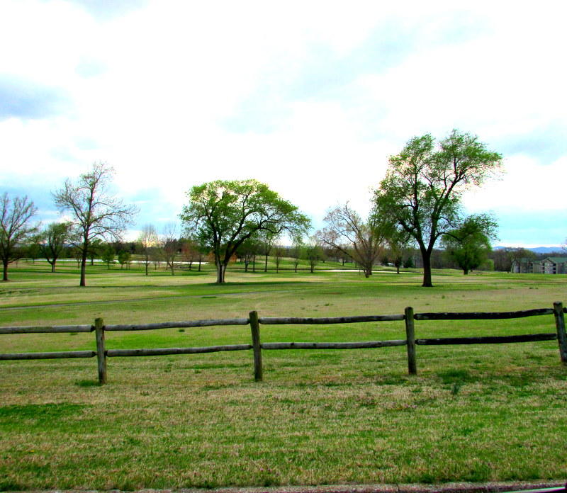 155 West Rockford Drive, Branson, MO 65616