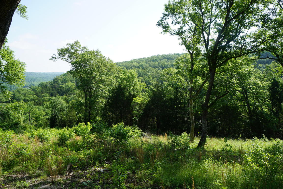 Tbd State Highway T , Branson, MO 65616
