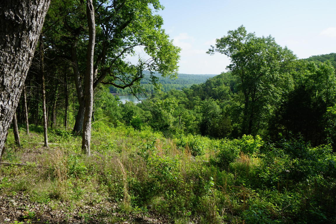Tbd State Highway T , Branson, MO 65616