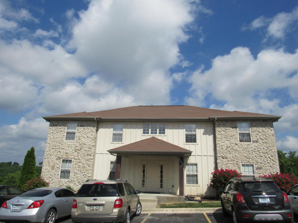 240 Toni Lane, Branson, MO 65616