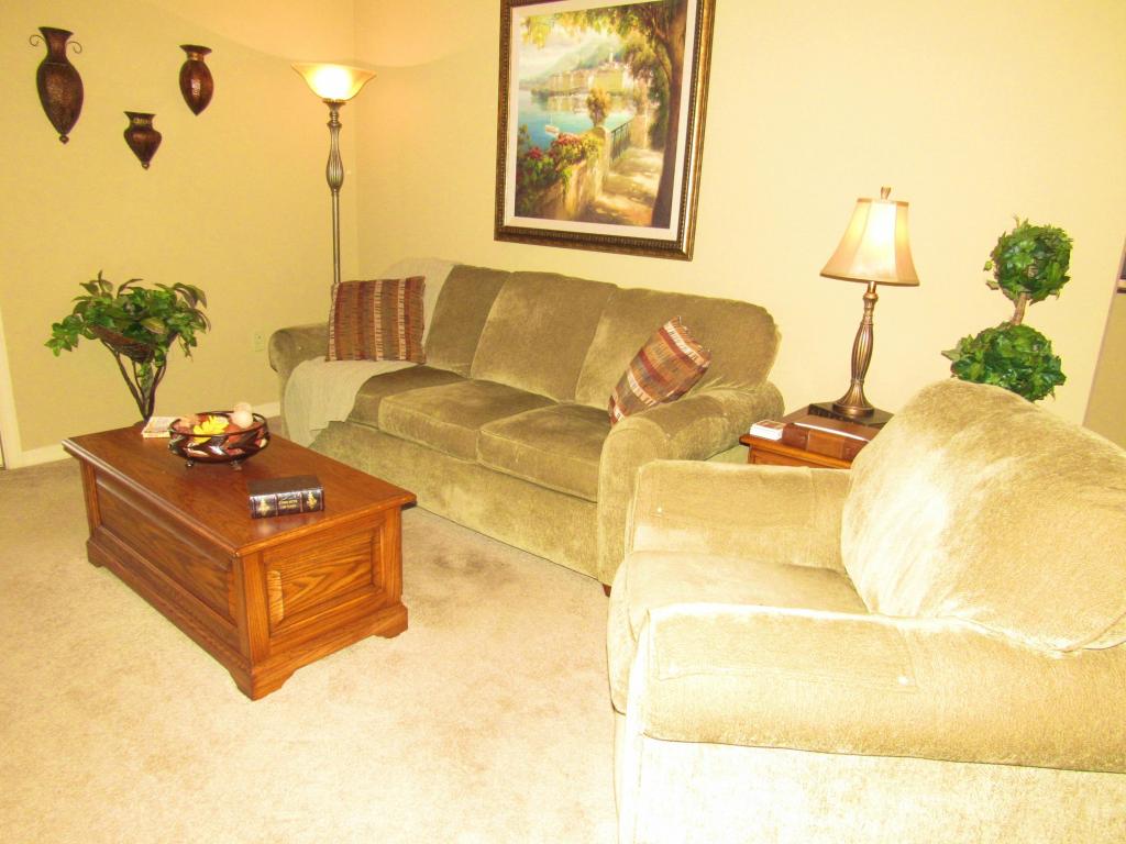 240 Toni Lane, Branson, MO 65616
