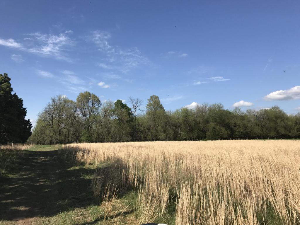 129 State Highway 32, Buffalo, MO 65622
