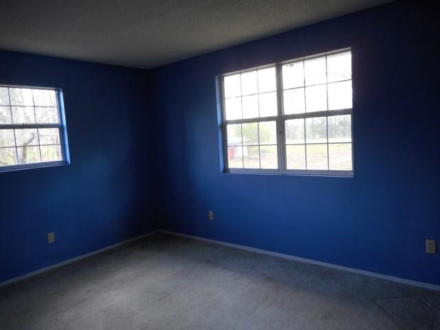 437 Walnut Springs DrCape Fair, MO, 65624Stone County