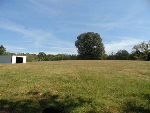 Box 105 Hc73, Drury, MO 65638