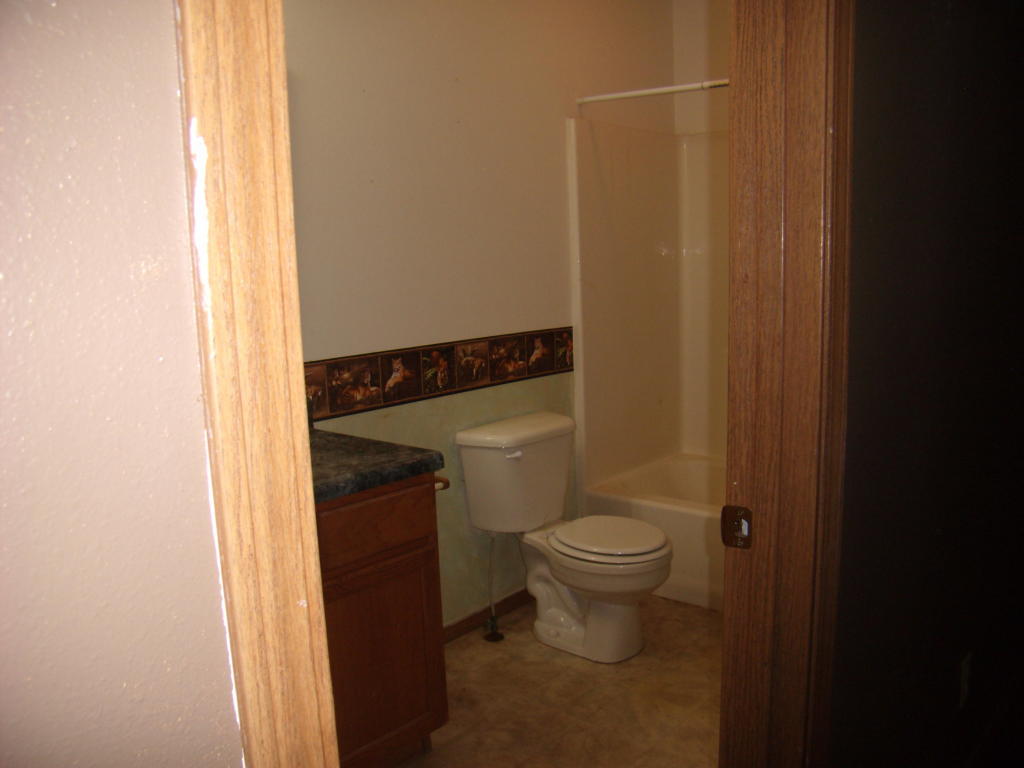 284 E Willow Street, Fair Grove, MO 65648