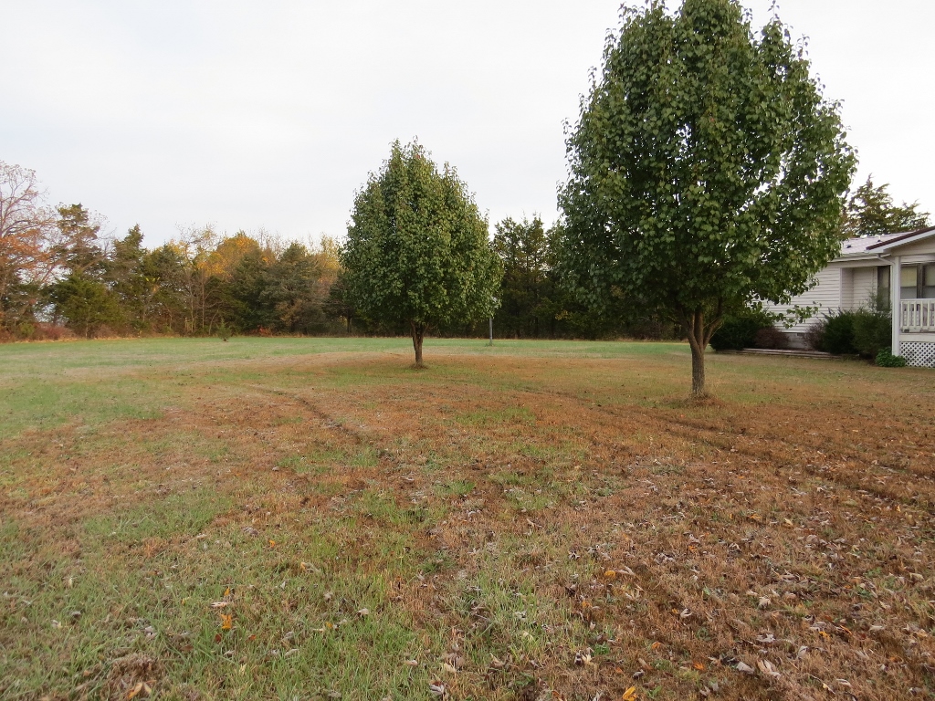 1125 E 318th Rd, Flemington, United States 65650