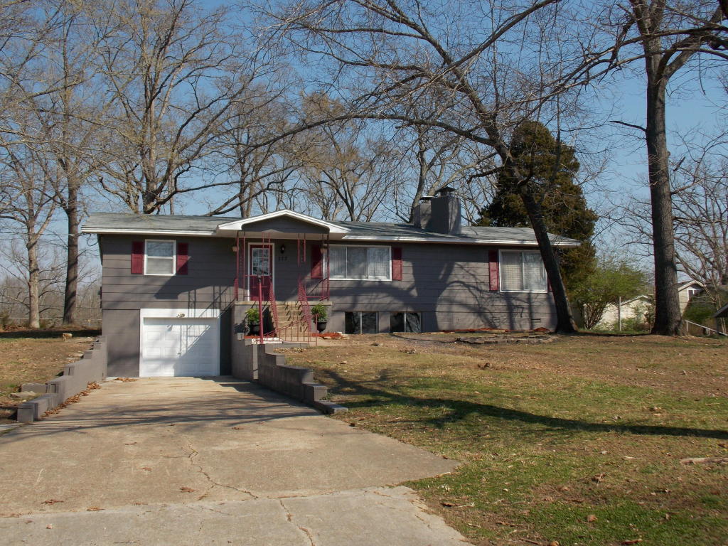 177 Oak Drive, Forsyth, MO 65653