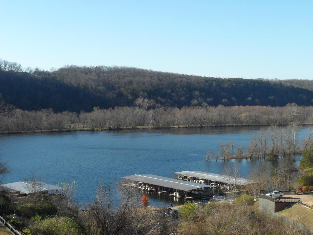 150 Sunken Forrest Drive, Forsyth, MO 65653