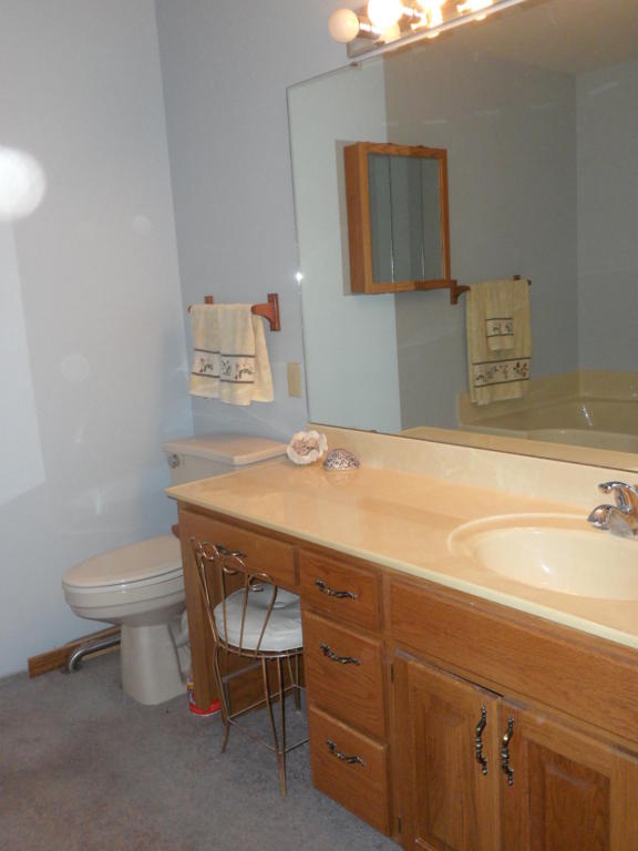 150 Sunken Forrest Drive, Forsyth, MO 65653