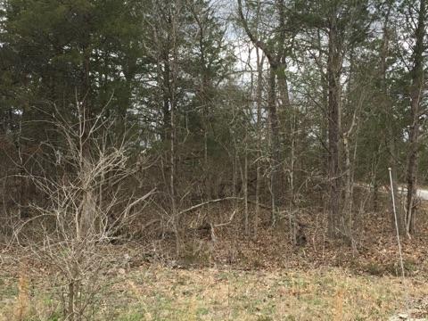 7 Lots Virgin Bluff Drive, Galena, MO 65656