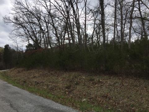 7 Lots Virgin Bluff Drive, Galena, MO 65656