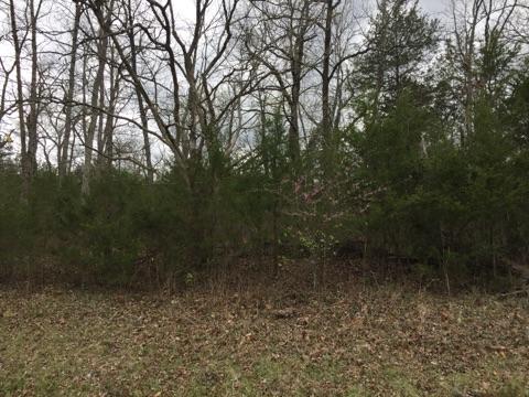 7 Lots Virgin Bluff Drive, Galena, MO 65656