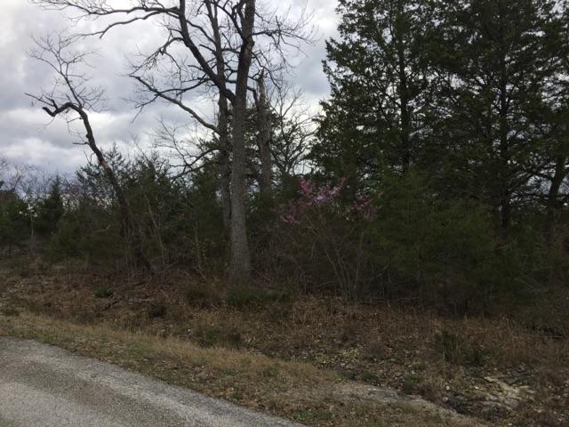 7 Lots Virgin Bluff Drive, Galena, MO 65656