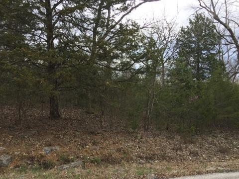 7 Lots Virgin Bluff Drive, Galena, MO 65656