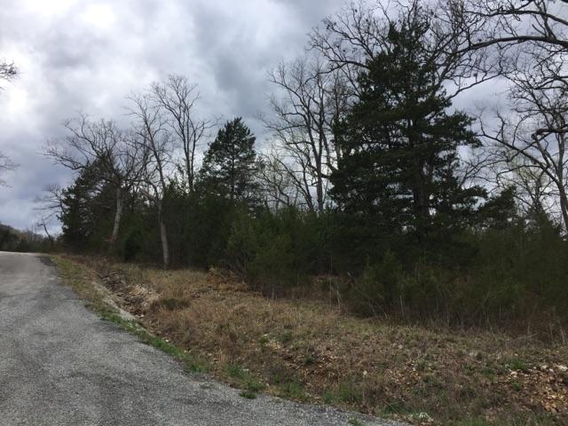 7 Lots Virgin Bluff Drive, Galena, MO 65656