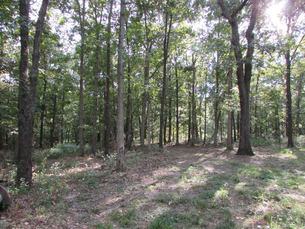 Lot 53-56 Rivermeade Loop, Galena, MO 65656