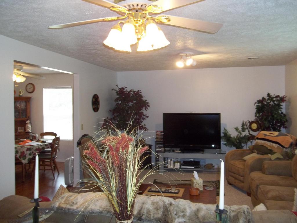 12 Ridgeview Road, Greenfield, MO 65661