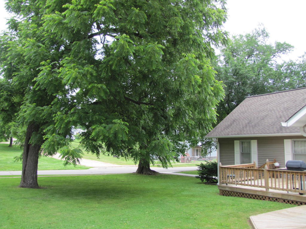 290 West Marshfield Street, Hartville, MO 65667