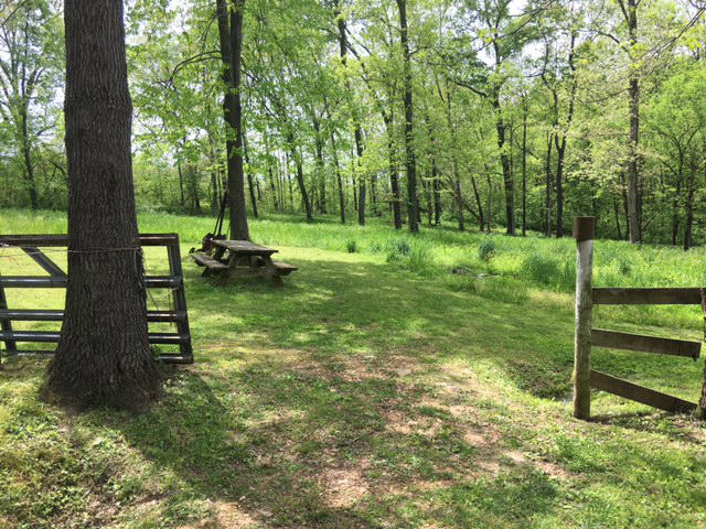 5250 Steele Bluff Road, Hartville, MO 65667
