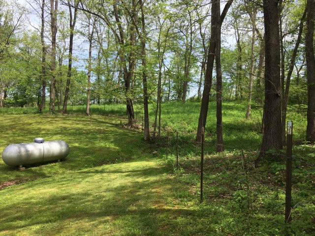 5250 Steele Bluff Road, Hartville, MO 65667