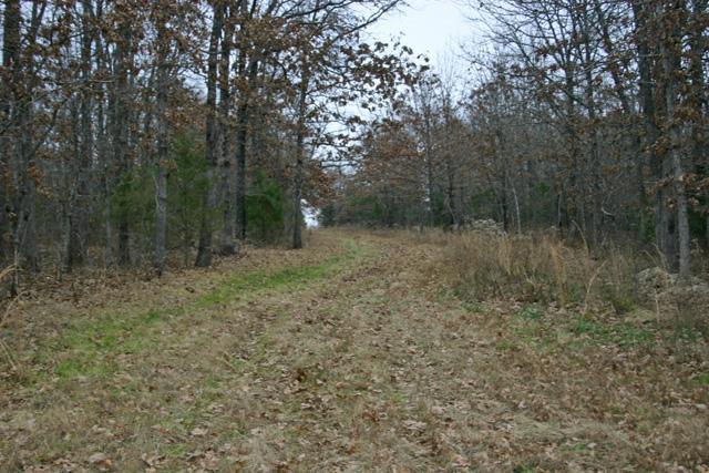 1099 Mo-Cc, Hartville, MO 65667