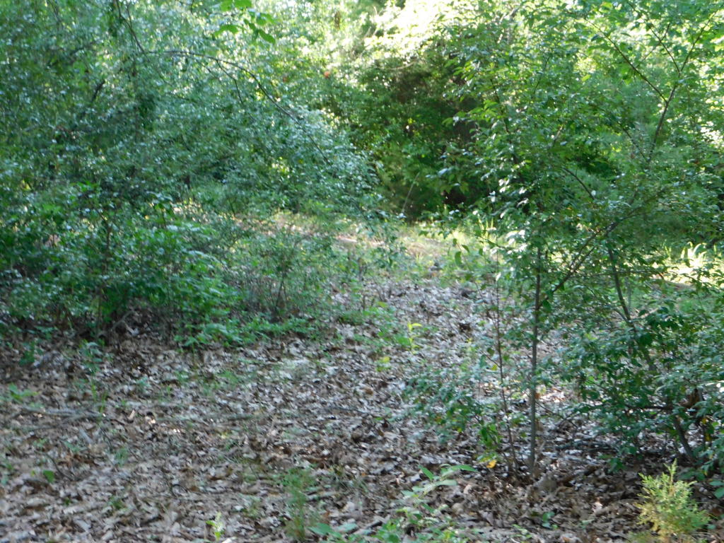 3228 Two Rivers Road, Highlandville, MO 65669
